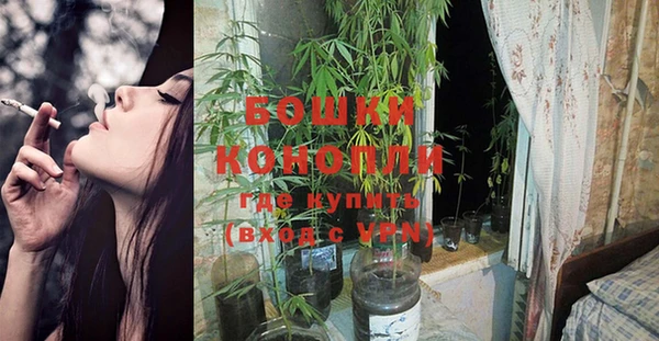 амф Коряжма