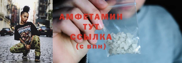 амф Коряжма