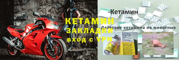 амф Коряжма