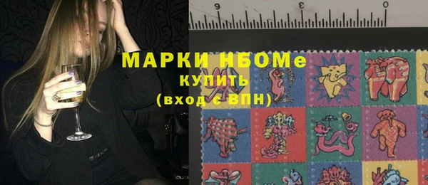 амф Коряжма