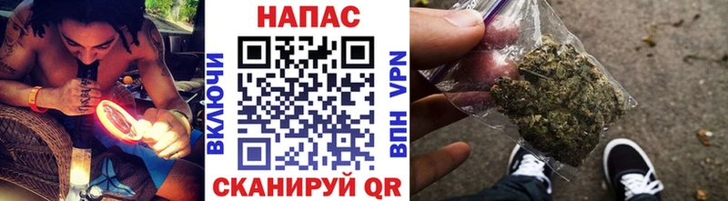 Марихуана план  Купить где  Ступино 
